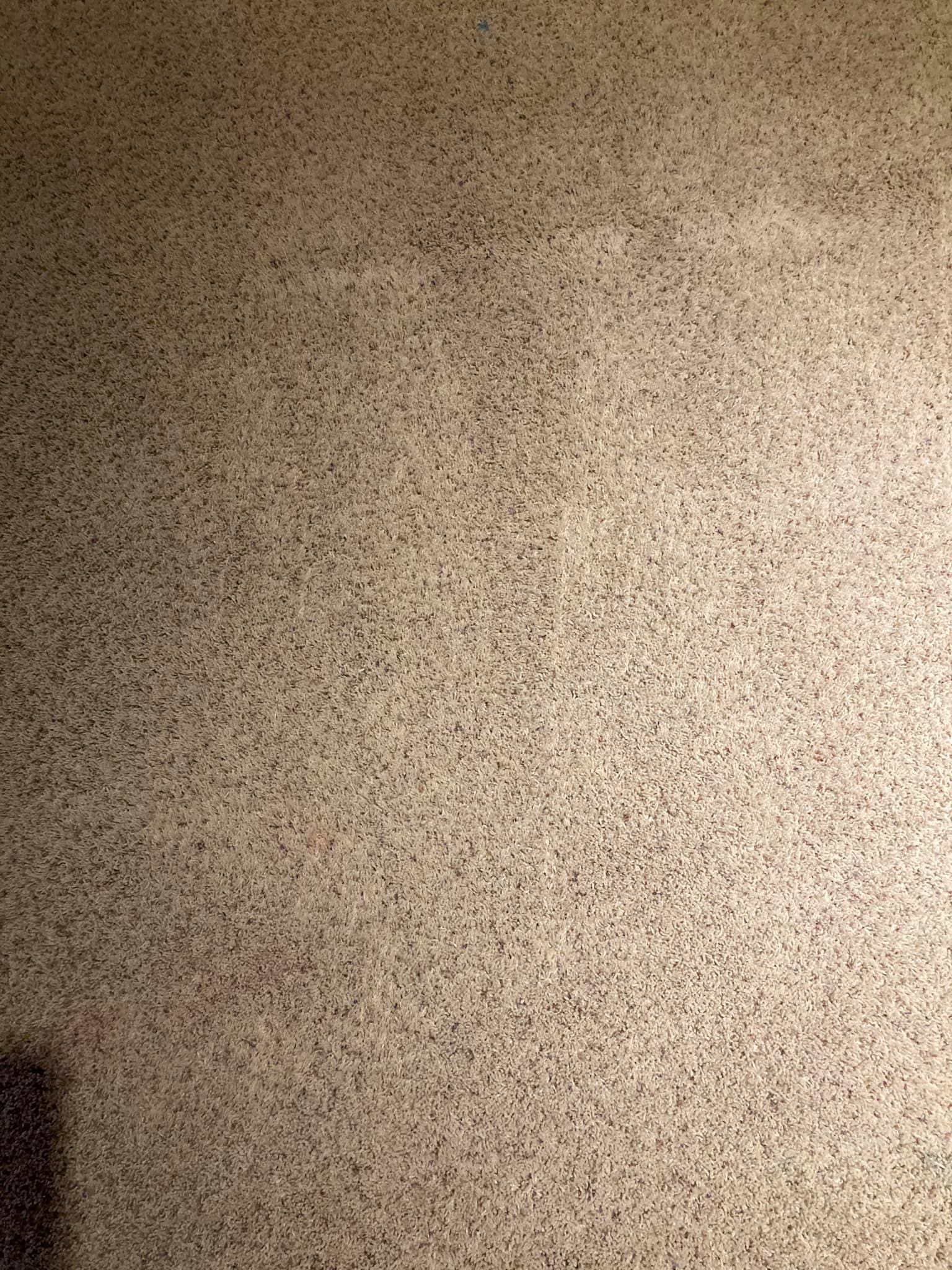 Residential Carpet Cleaning Black Hills Superior Cleaning Rapid