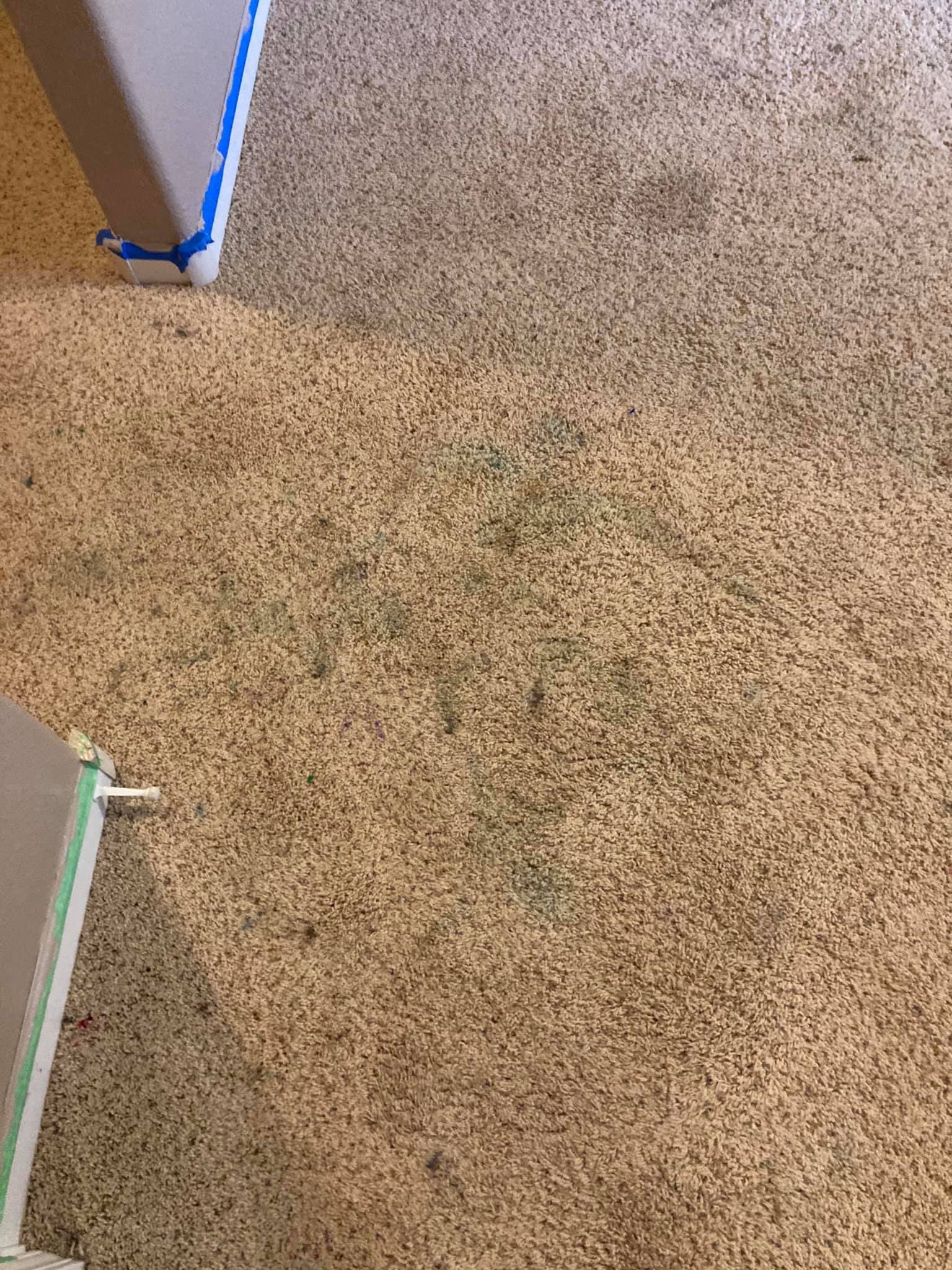 Residential Carpet Cleaning Black Hills Superior Cleaning Rapid