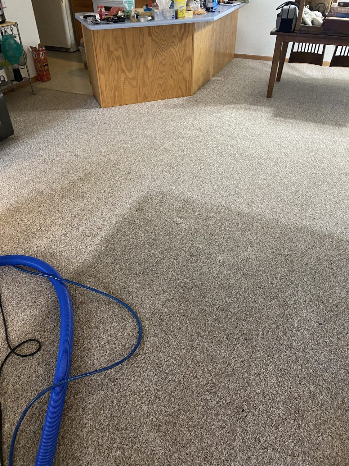 Residential Carpet Cleaning Black Hills Superior Cleaning Rapid