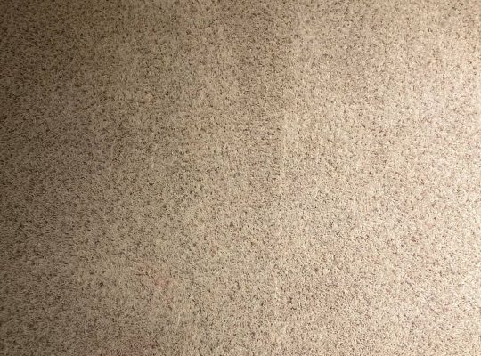 Carpet after stain removal cleaning