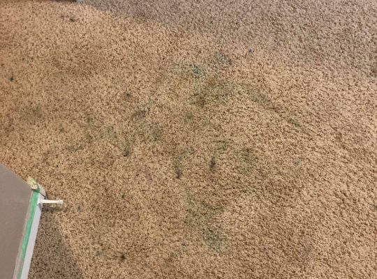 Carpet with a stain before removal