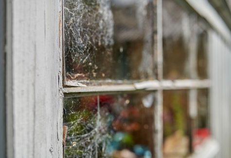 An old wooden framed window showing structural damage that could have been caught earlier