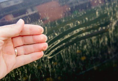 A persons hand is shown removing visual pollen grains from a dirty window in need of cleaning.