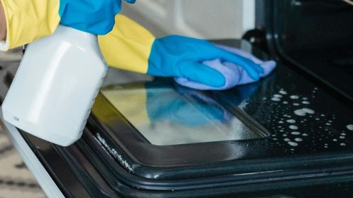Professional Cleaner Deep Cleaning an Oven Professional Cleaner Deep Cleaning an Oven