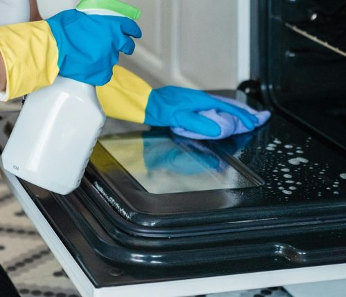 Professional Cleaner Deep Cleaning an Oven