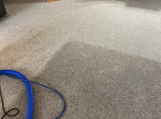 Carpet stain before cleaning