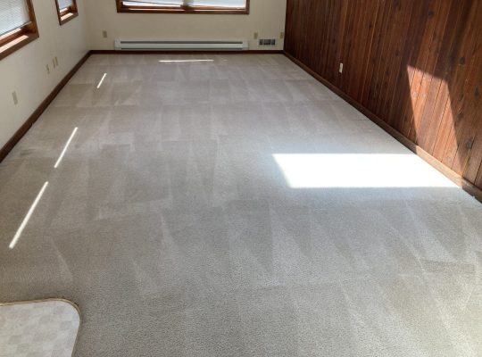 Carpet cleaned and stain removed after photo